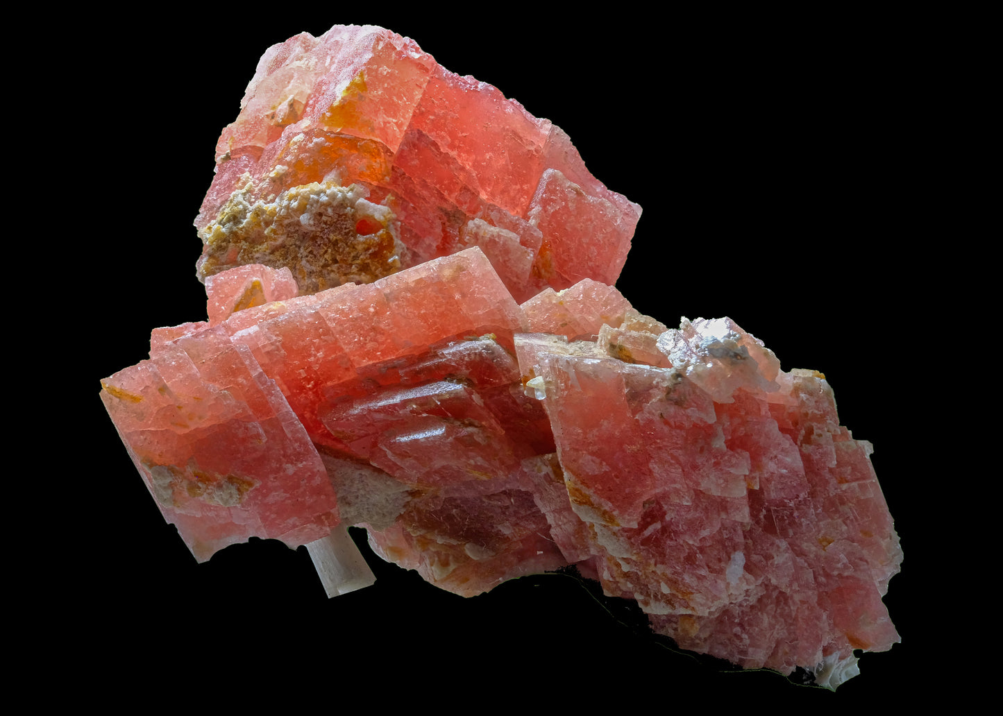 Long Scarf: Rhodochrosite, Proudettes Quarry, Mount Saint Hilaire, Quebec, Canada, ex Neal Pfaff, Original Color 2