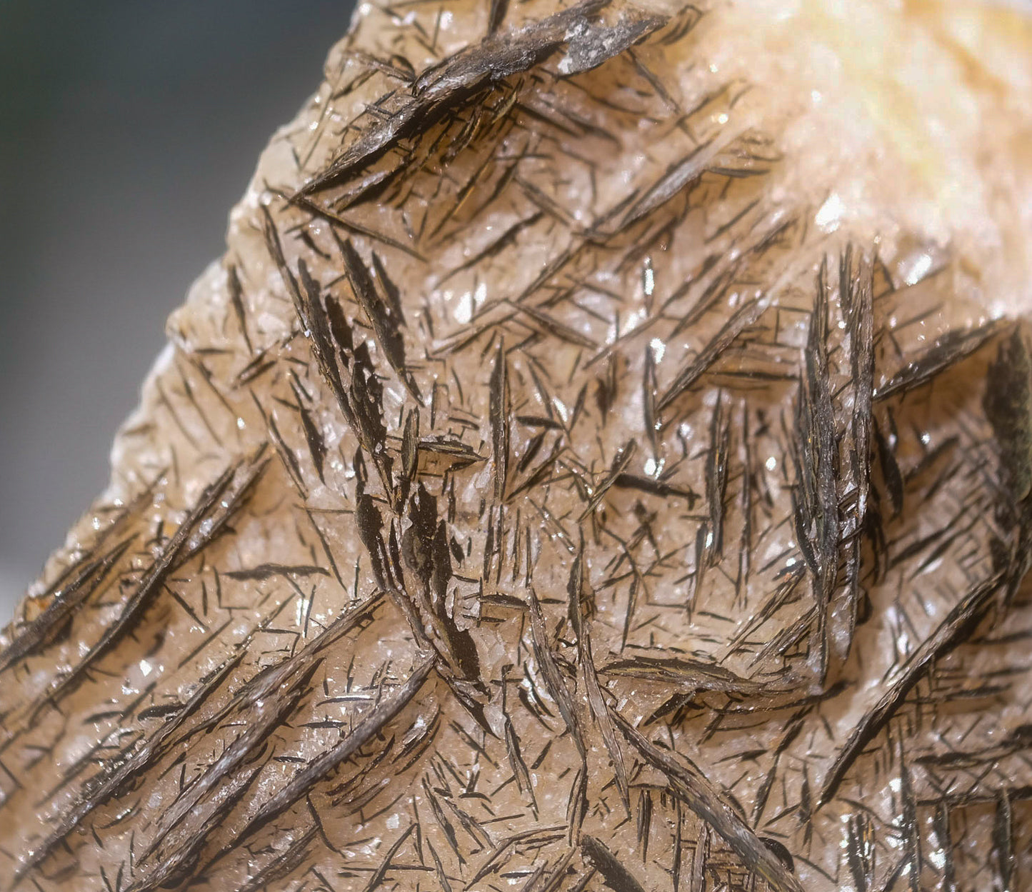 Goethite on Calcite