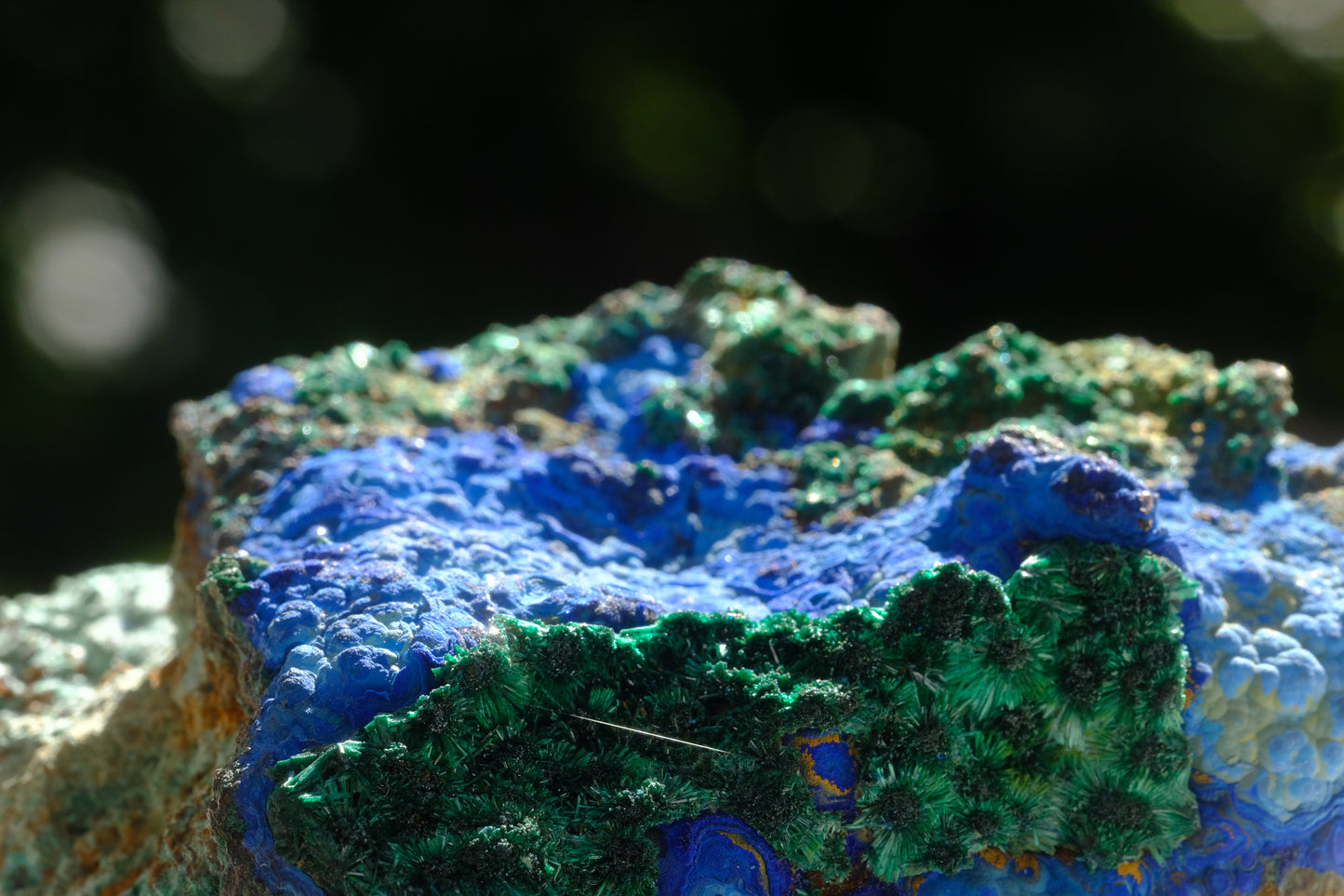 Bucket Hat: Malachite Crystals and Azurite Botryoids & Red Cuprite, Queen Copper Mine, Bisbee, Arizona, USA, EX Yale, Circa 1897, Original Color, JEFF