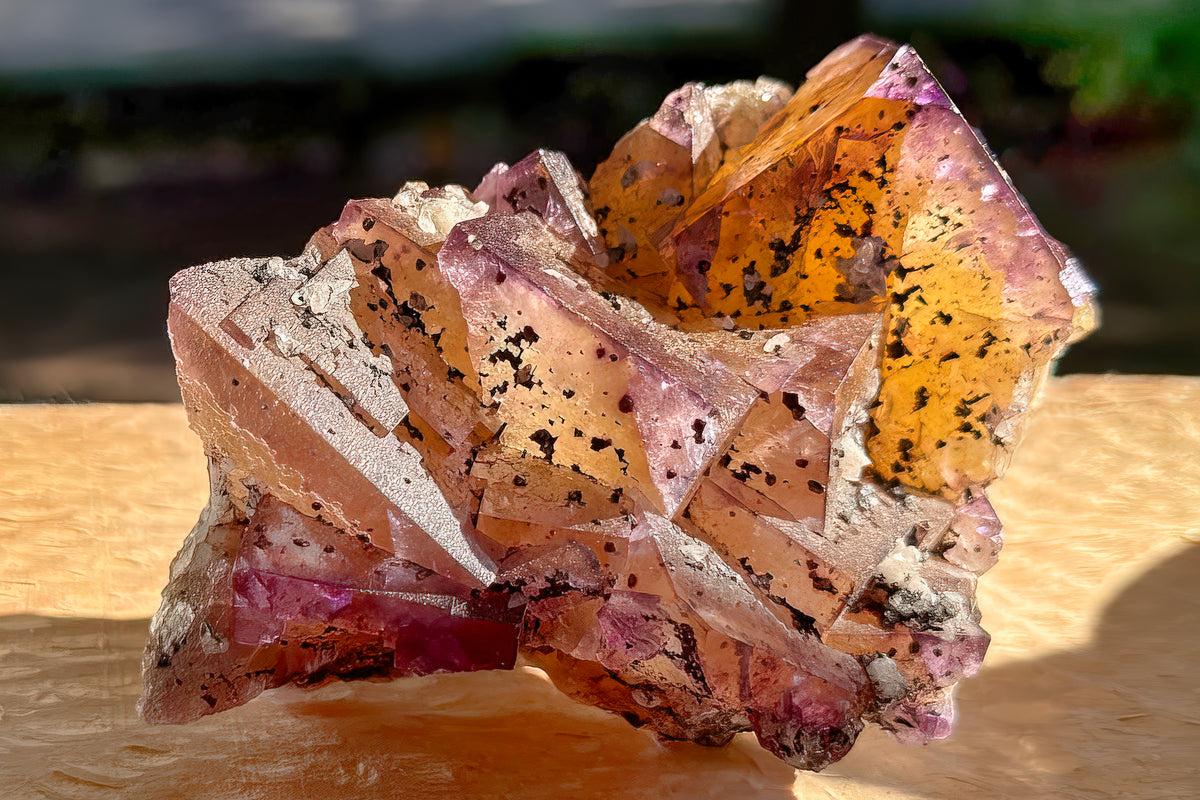 Tablecloth : Fluorite — Illinois — EX Chris Wright  Square