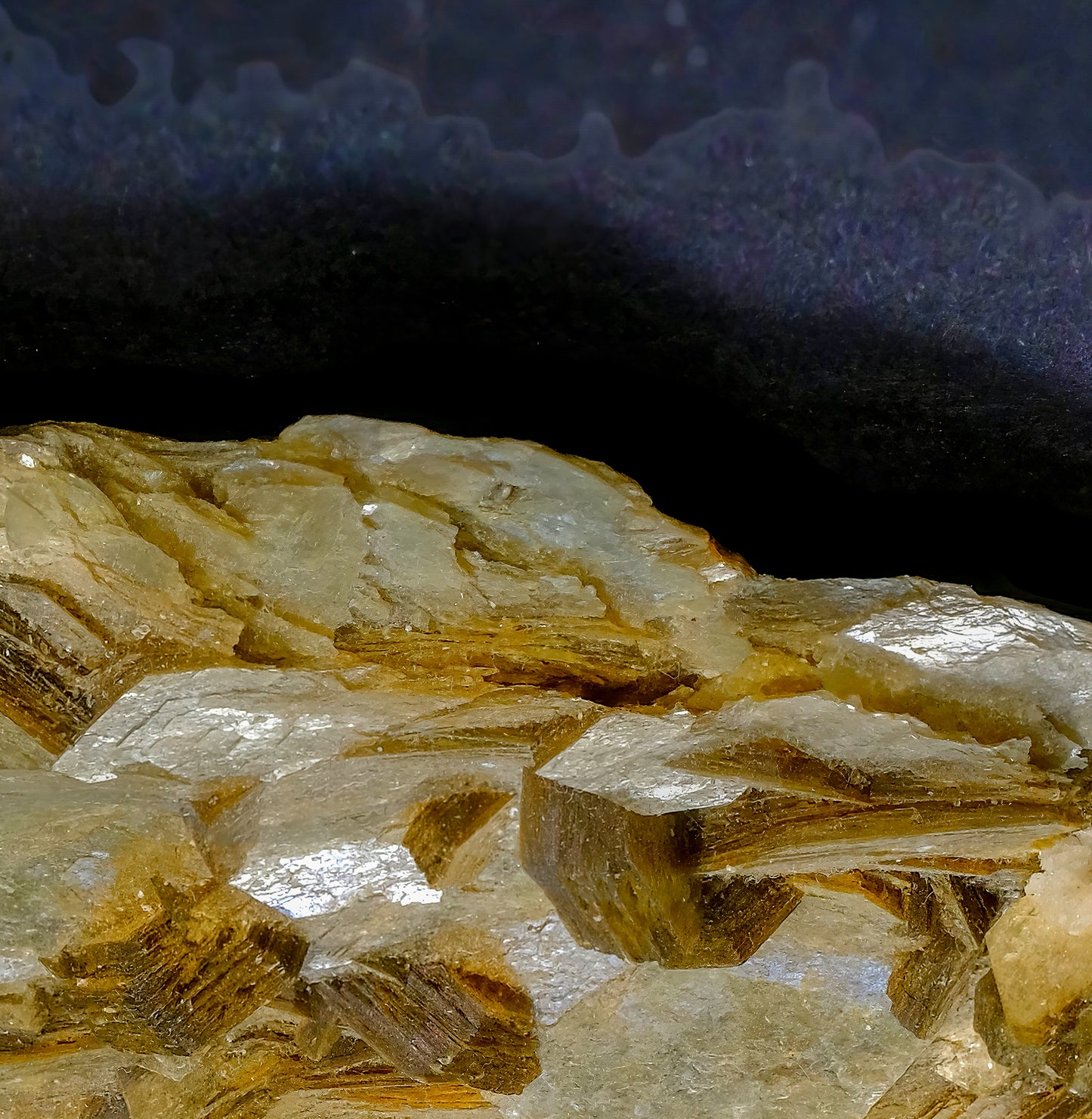 Muscovite Lavinsky superb