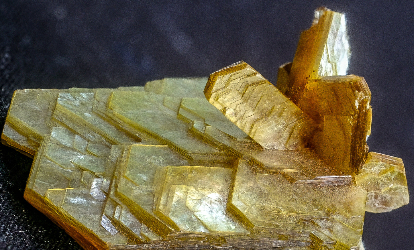 Beanie: Musccovite, Brazil,  EX Lavinsky-Wendell Wilson, Original Color (2)