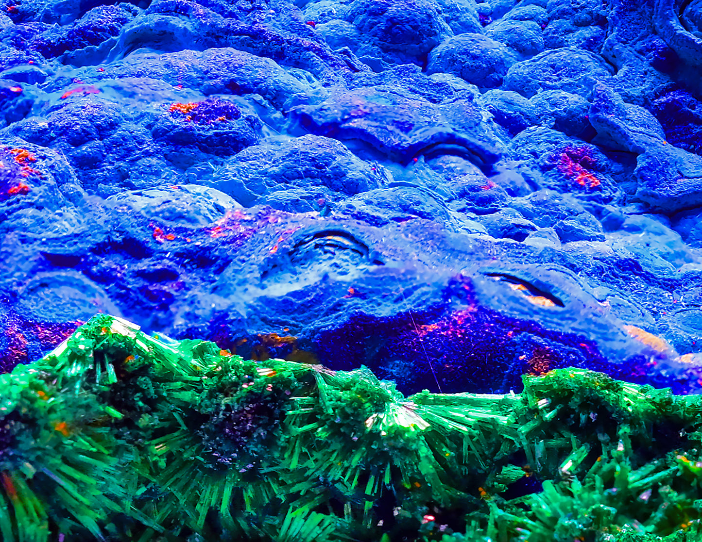 Bucket Hat: Malachite Crystals and Azurite Botryoids & Red Cuprite, Queen Copper Mine, Bisbee, Arizona, USA, EX Yale, Circa 1897, Original Color, JEFF